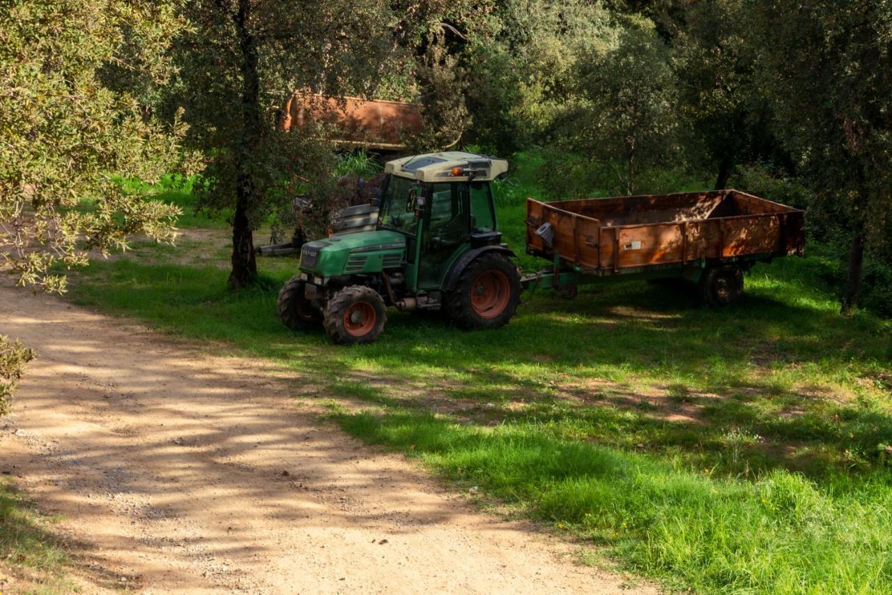 פלאמוס Finca Bell-Lloc מראה חיצוני תמונה